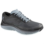 Кроссовки SALOMON SONIC RA MAX 2